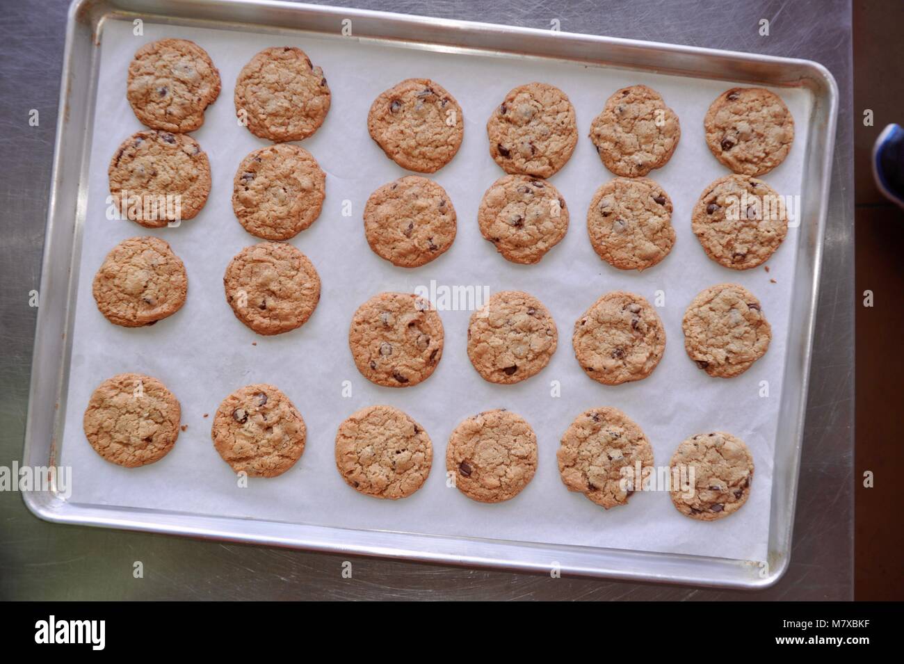 Biscotti appena sfornati su un vassoio con la carta pergamena in corrispondenza di una piccola panetteria commerciale negli Stati Uniti. Foto Stock