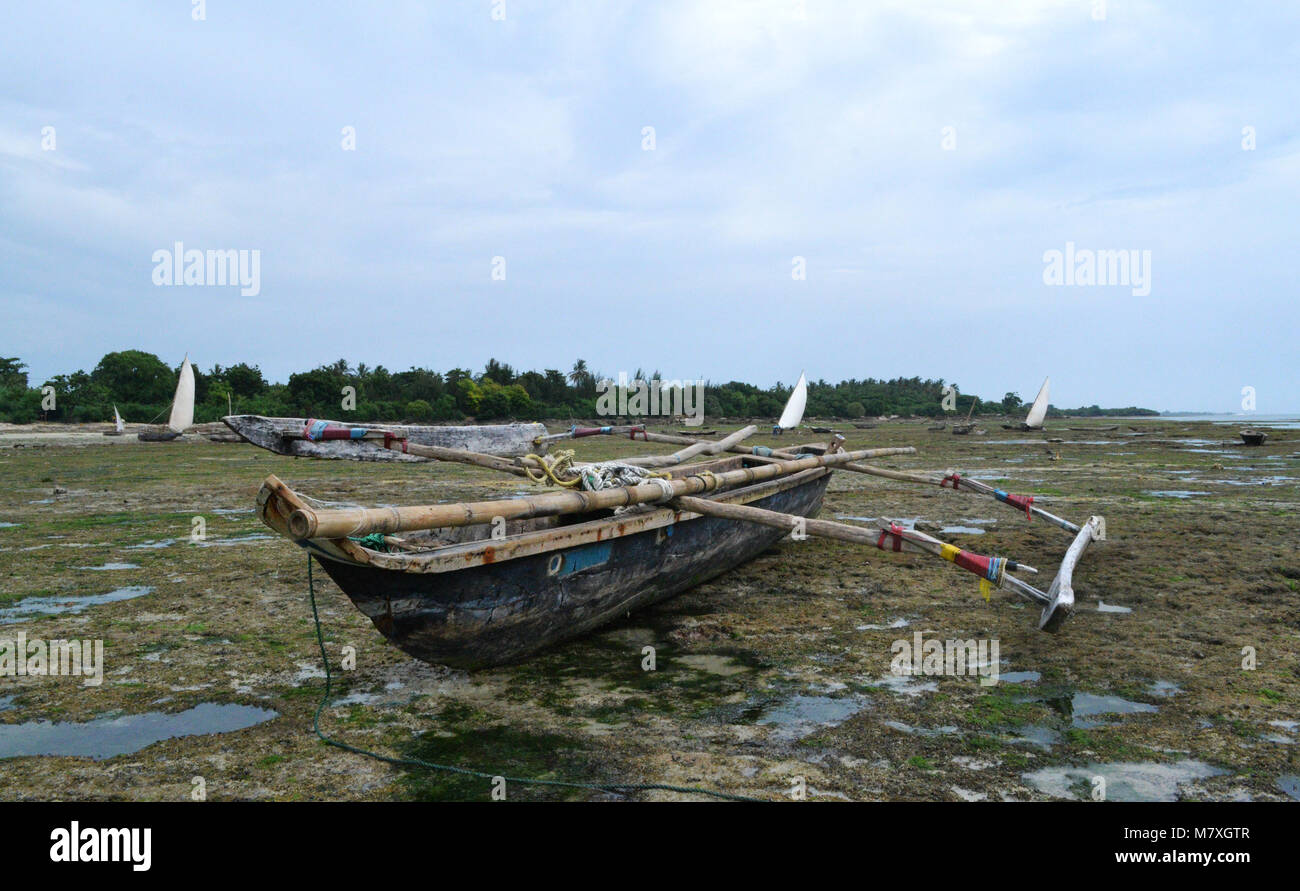 Tradizionale fuori-truccate barca della Tanzania (ngalawa) sulla spiaggia durante la bassa marea. Foto Stock