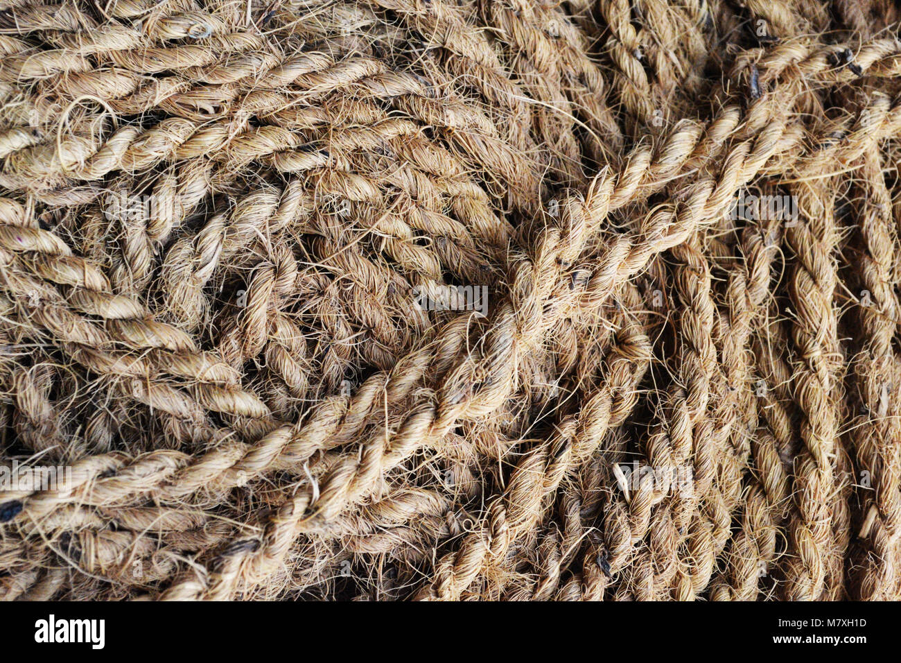 Naturale di corda di iuta. Sfondo. Foto Stock