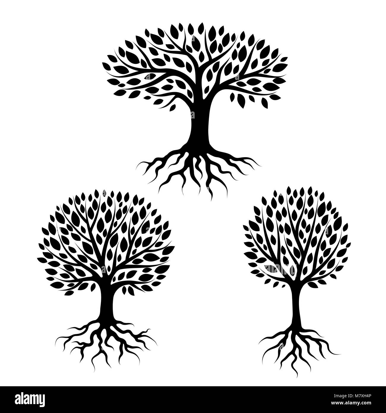 Set di astratta stilizzata di alberi con radici e foglie. Illustrazione naturale Illustrazione Vettoriale