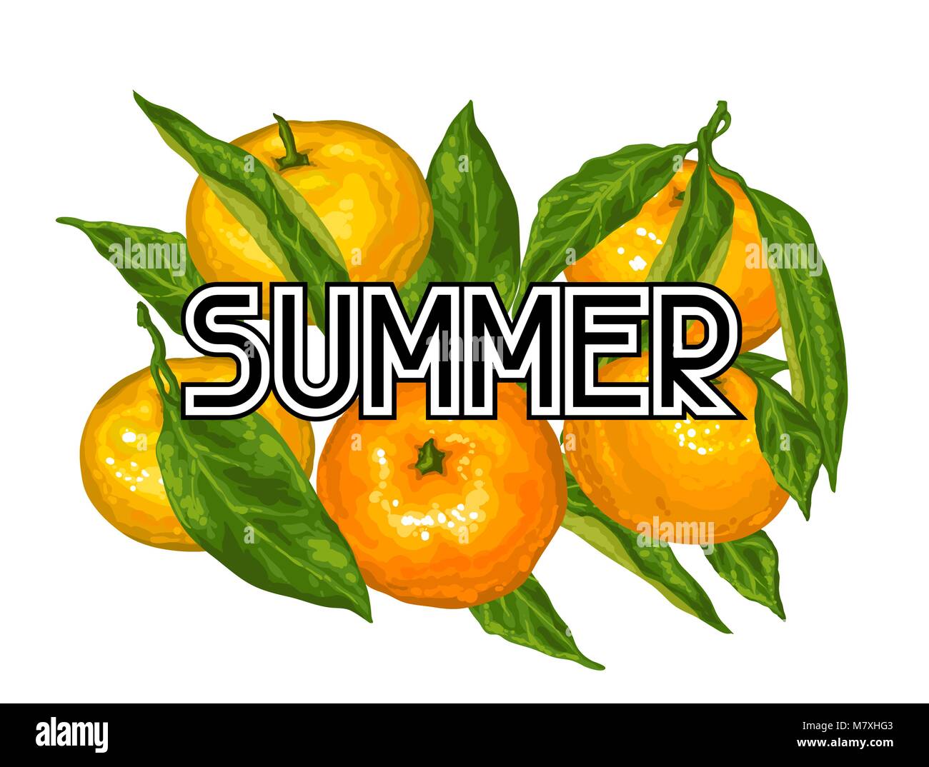 Sfondo con i mandarini. Frutti Tropicali e foglie Illustrazione Vettoriale