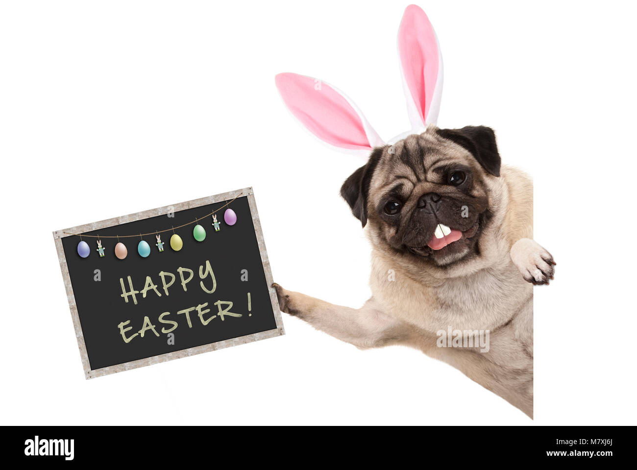 Coniglietto di pasqua pug cucciolo di cane con orecchie, uova e lavagna con testo felice Pasqua, lateralmente dal banner bianco Foto Stock