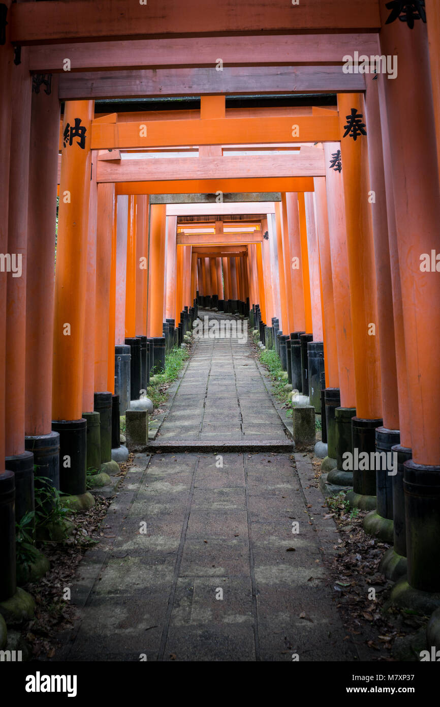 Torii gate a fushimi andrà taisha, Kyoto, Giappone Foto Stock