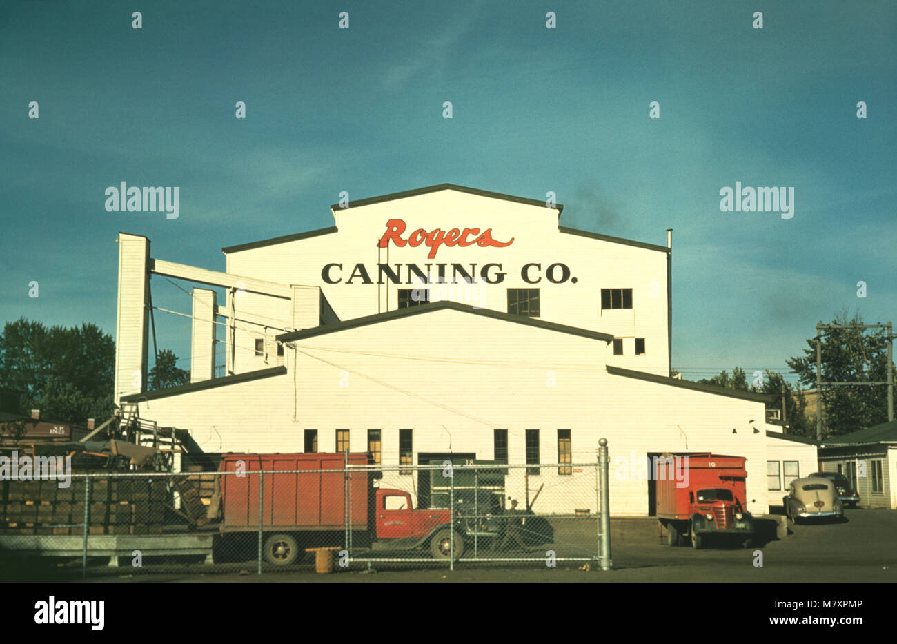 Rogers Canning Co., impianto di inscatolamento Milton-Freewater, Oregon, Stati Uniti d'America, Russell Lee per la Farm Security Administration - Ufficio di informazione di guerra, Luglio 1941 Foto Stock