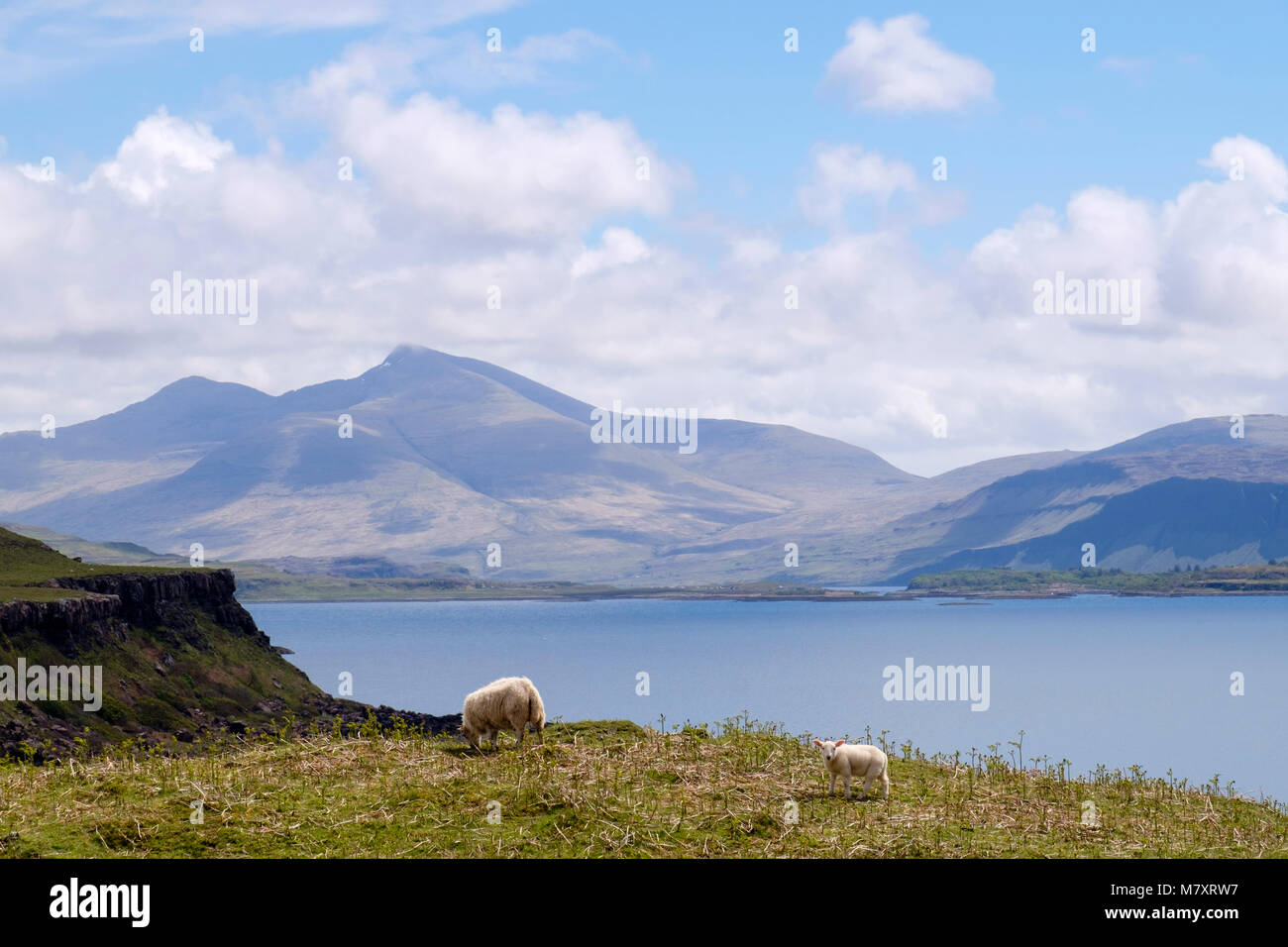 Vista su tutta sul Loch Tuath a Ben più montagna sulla costa ovest. Kilninian Isle of Mull Argyll and Bute Ebridi Interne Western Isles della Scozia UK Foto Stock