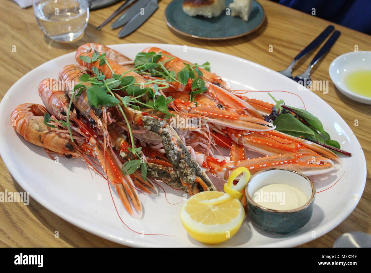 Langoustine in Scozia Foto Stock
