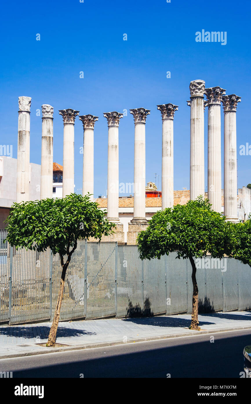 Cordoba, Andalusia, Spagna : resti del tempio romano in Capitulares street, nel centro storico di Cordoba. Foto Stock