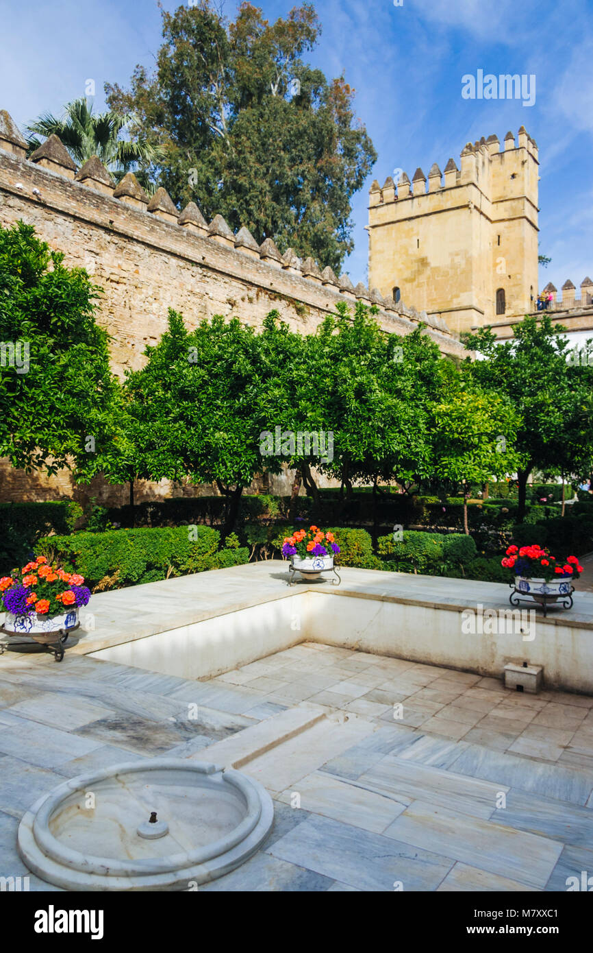 Cordoba, Andalusia, Spagna : Courtyard all'Alcazar de los Reyes Cristianos (Castello dei monarchi cristiani) Foto Stock