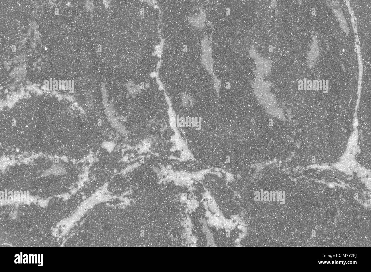Modellato in marmo texture di sfondo naturale , colore di sfondo, il punto bianco in Sfondo marmo, Foto Stock