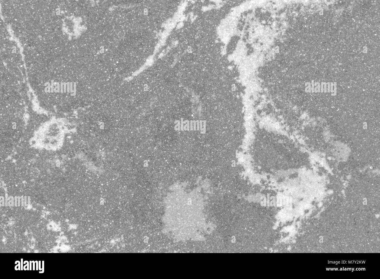 In bianco e nero di sfondo astratto, punto bianco in Sfondo marmo, Foto Stock