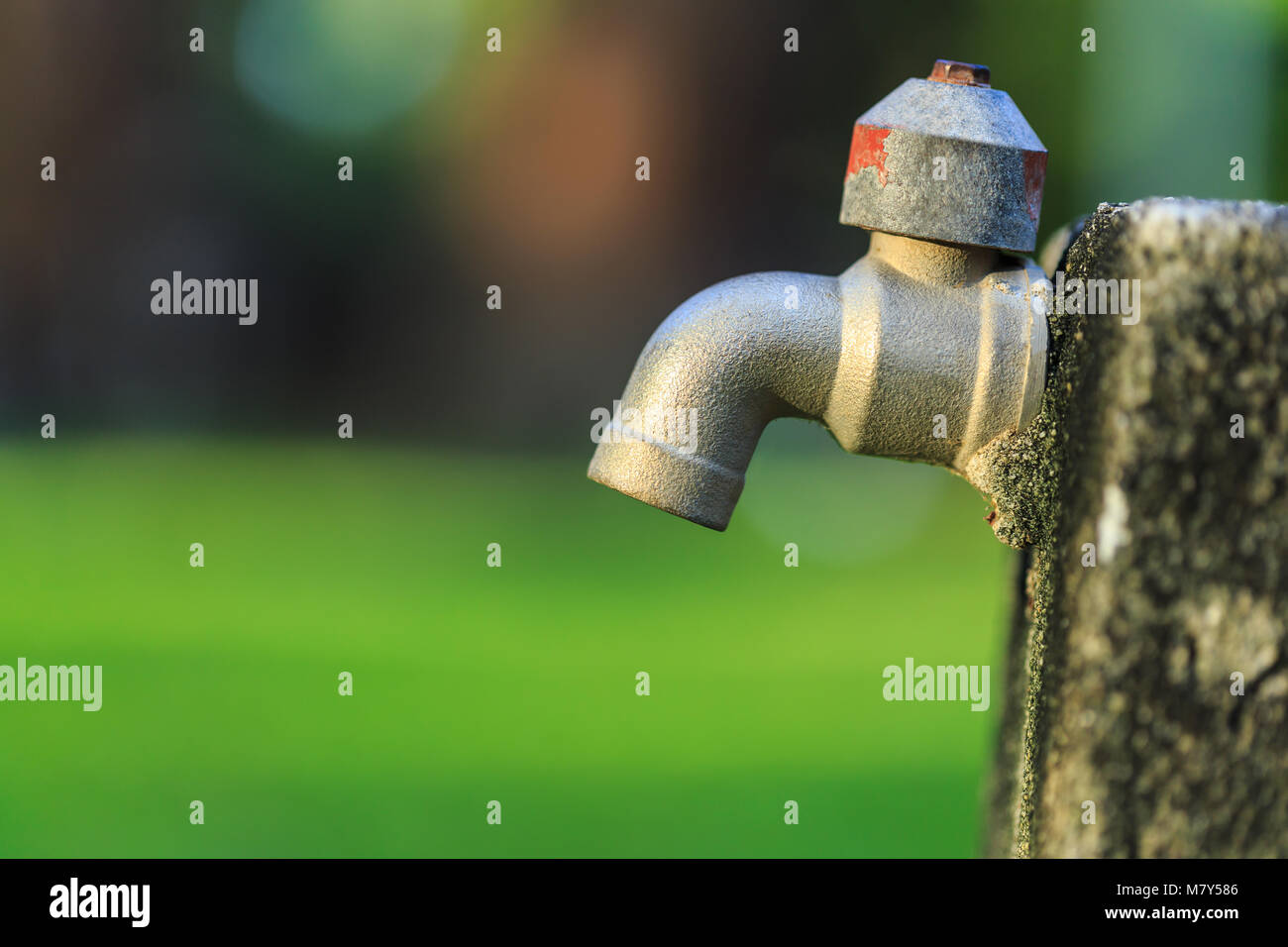 Chiudere fino vecchio rubinetto esterno senza acqua nel giardino sul verde blur sullo sfondo Foto Stock