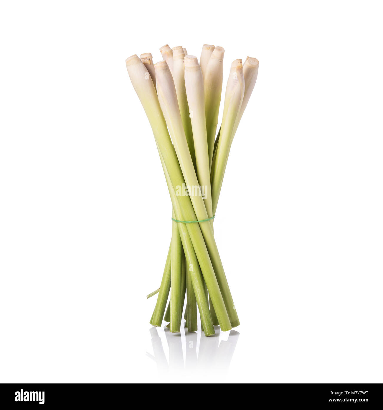 Freschi o alla citronella citronella foglia. Studio shot isolato su sfondo bianco Foto Stock Freschi o alla citronella citronella foglia. Studio shot isolato su sfondo bianco Foto Stock