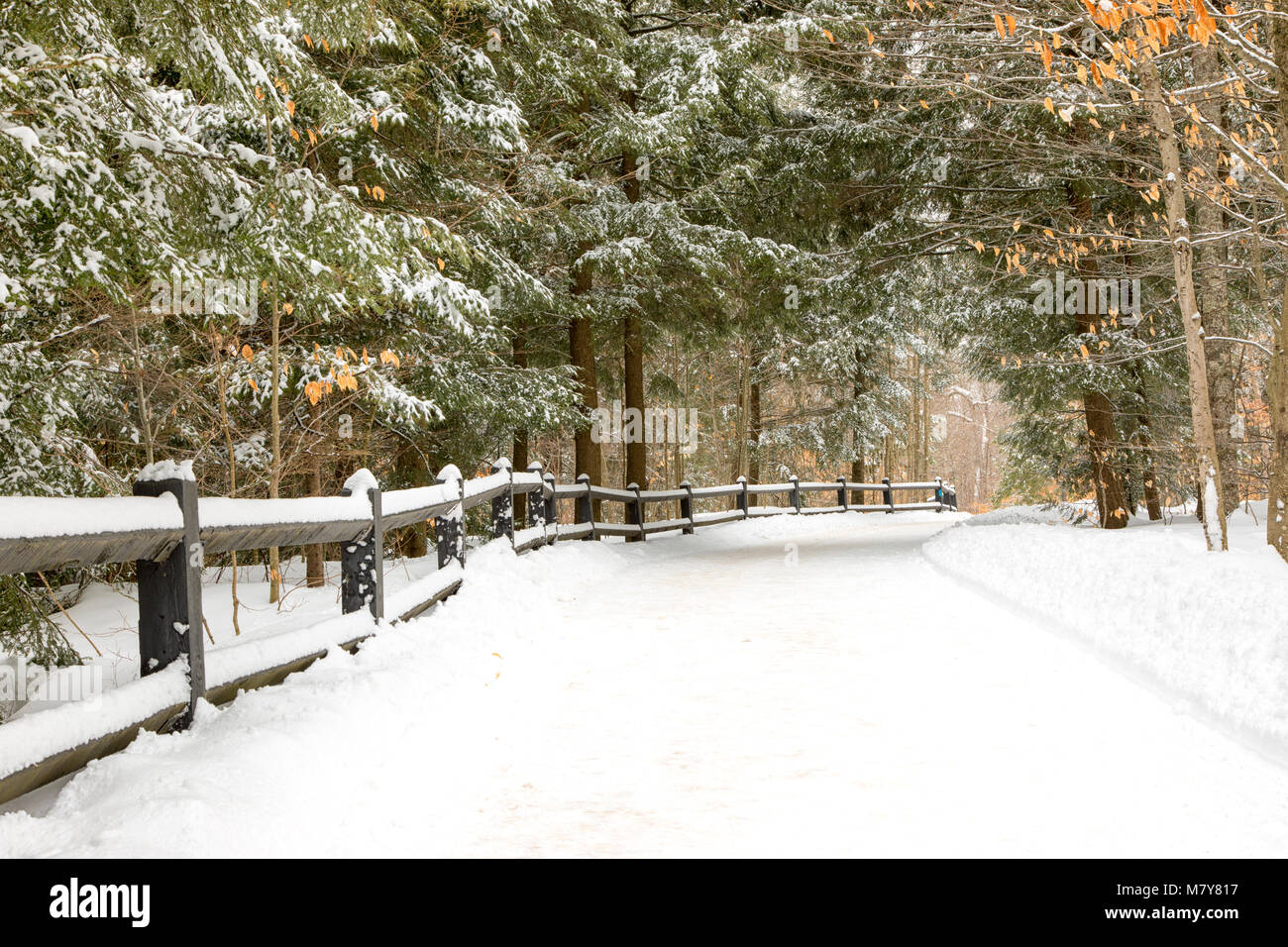 In inverno il percorso che conduce al Tahquamenon Falls nella Penisola Superiore del Michigan Foto Stock