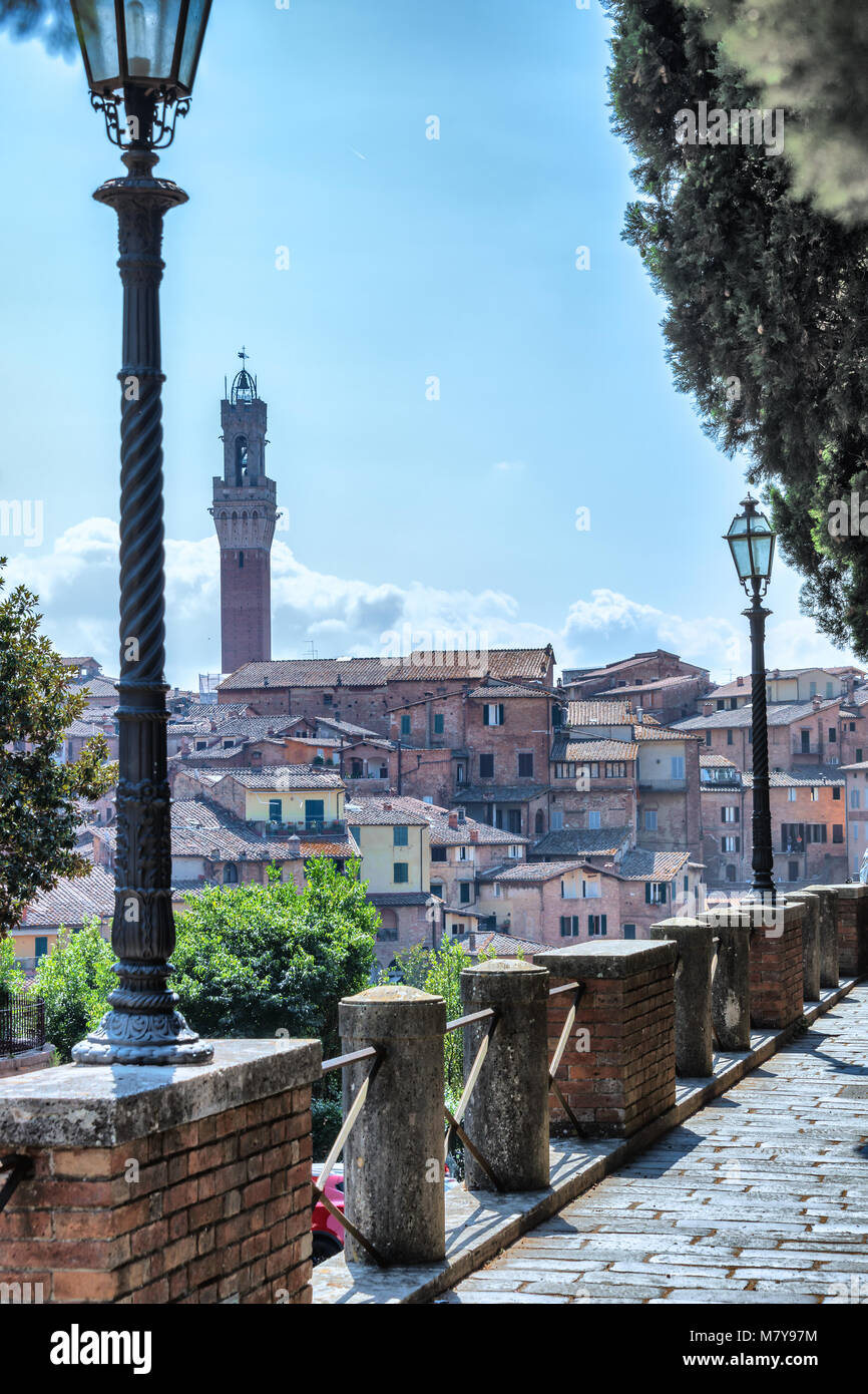 Blick auf Siena Foto Stock