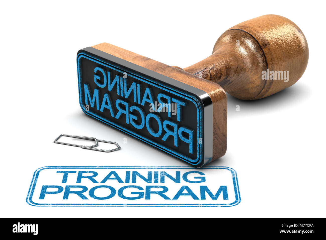Timbro di gomma con il testo del programma di formazione su sfondo bianco. 3D illustrazione Foto Stock
