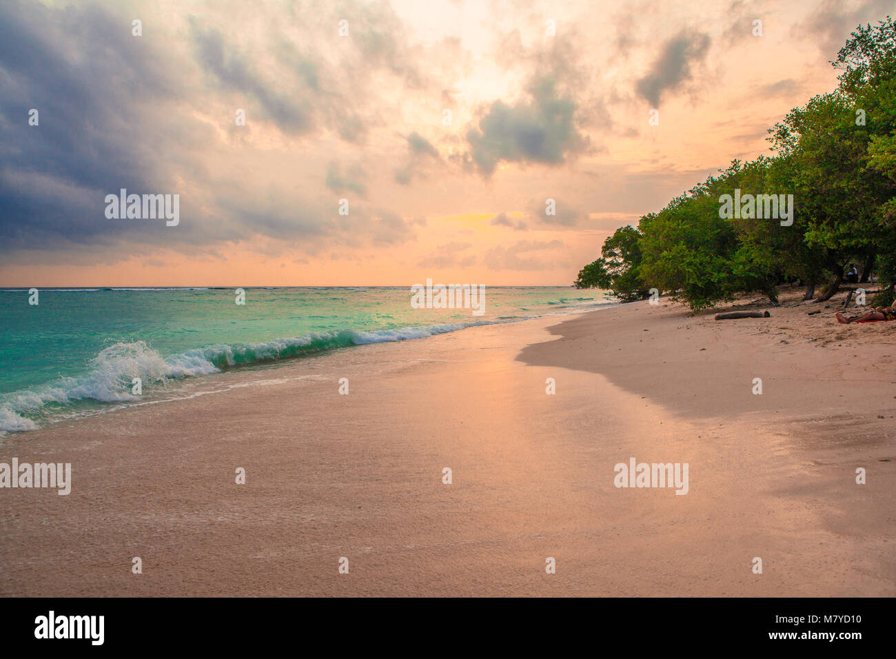 Deserta spiaggia celeste, con acque turchesi e rosa cielo giallo al tramonto, con alberi sulla sabbia vicino al mare Foto Stock