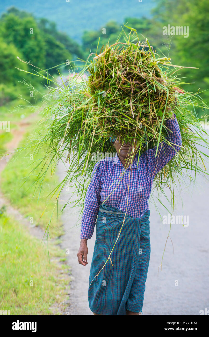 Lo stato di Shan , MYANMAR - Sep 06: Burmese agricoltore lavora su un campo nello stato di Shan Myanmar su Settembre 06 2017 , l'agricoltura è il settore principale in Myan Foto Stock