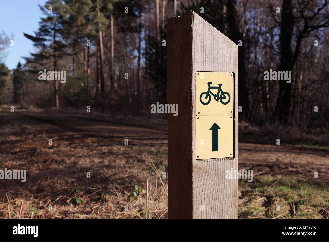 Percorso ciclabile boschivo/forestale, cartello segnaletico con freccia Foto Stock