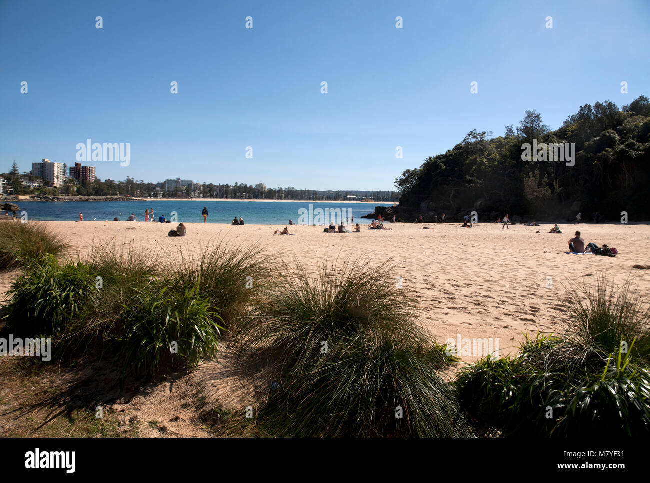 Shelly beach manly sydney New South Wales AUSTRALIA Foto Stock