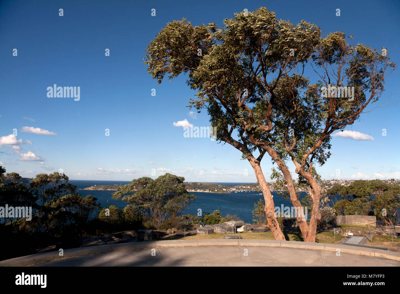 Testa di georges promontorio park mosman sydney New South Wales AUSTRALIA Foto Stock