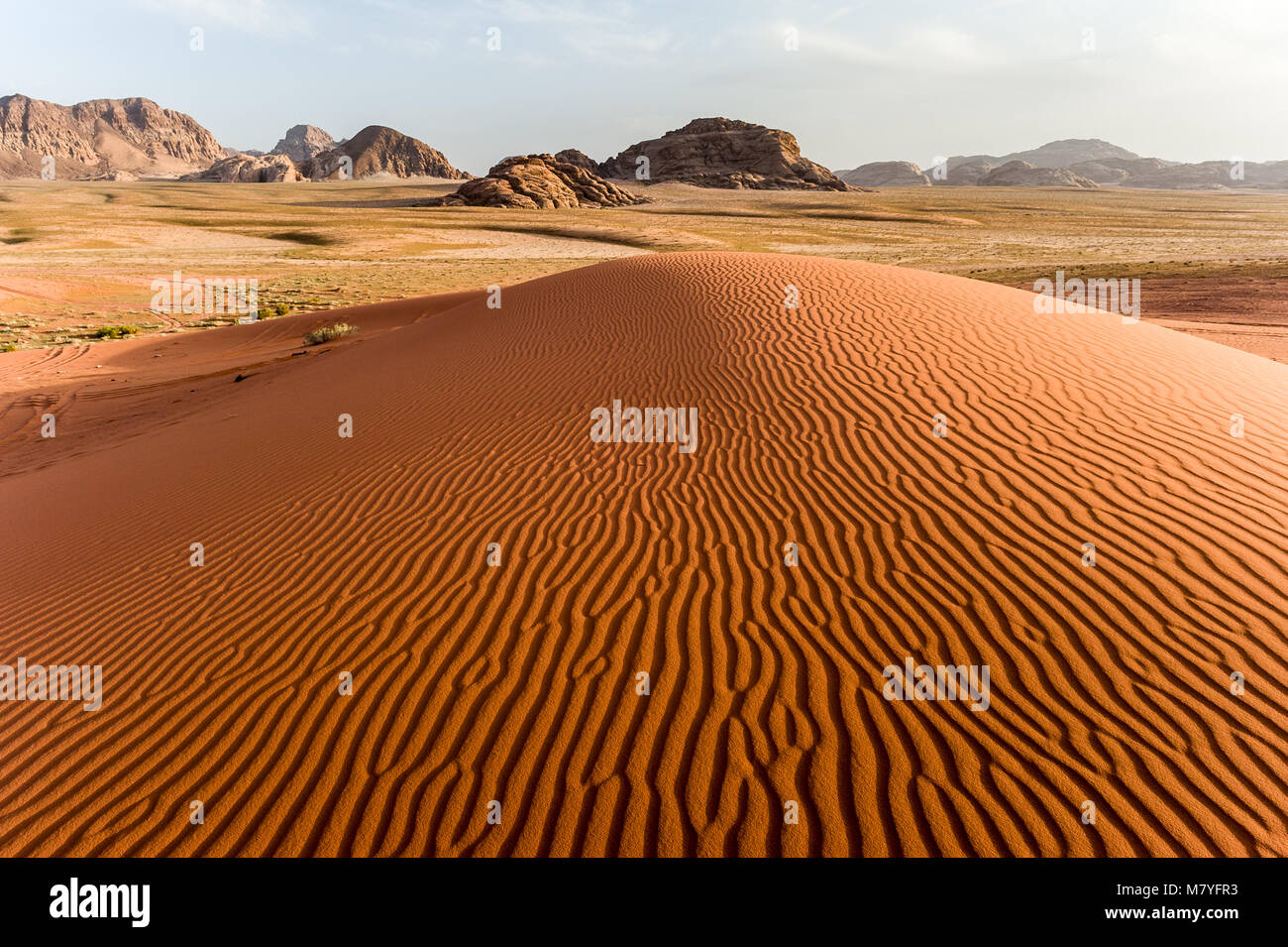 Una stropicciata duna di sabbia nel Wadi Rum desert in Giordania. Foto Stock
