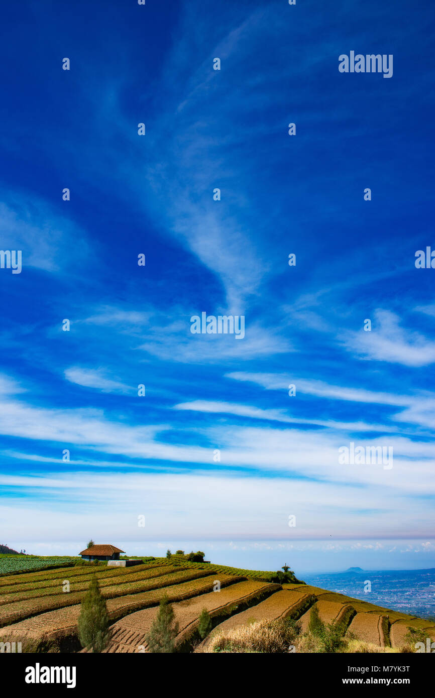 Piccolo agriturismo a Batu, Indonesia Foto Stock