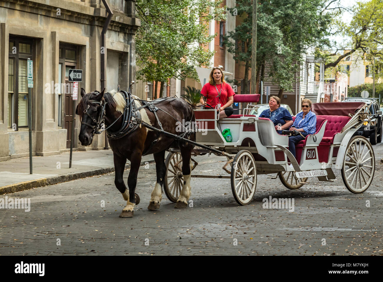 SAVANNAH, GEORGIA - Marzo 1, 2018: le persone che hanno preso parte a cavallo guidate tour in carrozza nella città di Savannah. Foto Stock