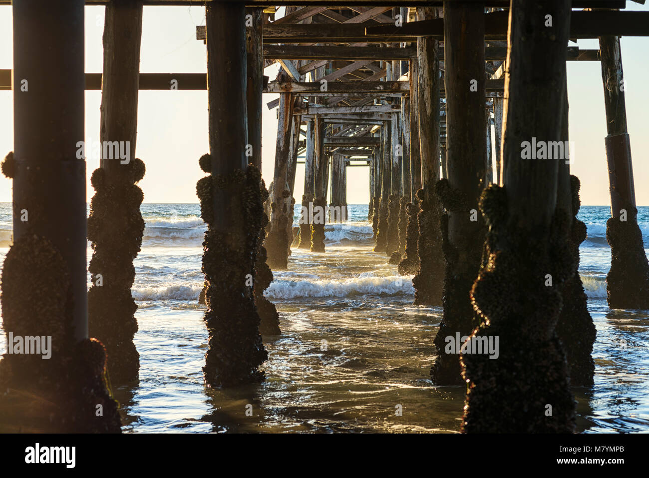 Il molo di cristallo a Mission Beach a San Diego, California, Stati Uniti d'America. Foto Stock