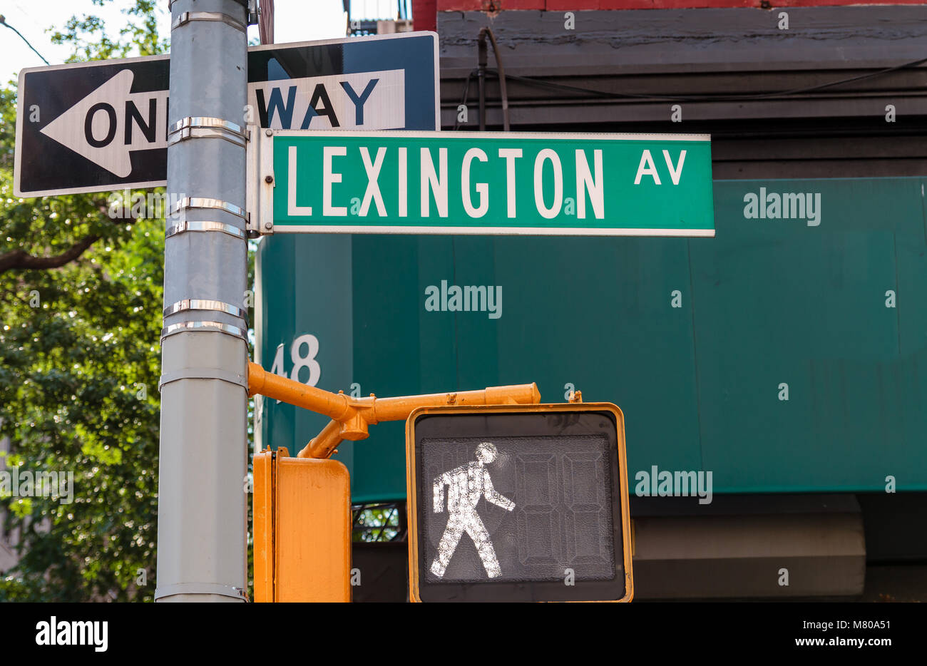 Green Lexington Avenue Street Sign in Manhattan , New York City ,NY ,USA Foto Stock