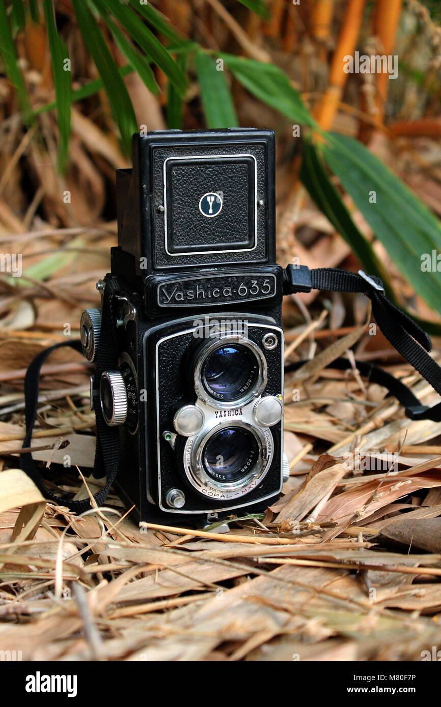 Vecchia macchina fotografica, Yashica 365, lente doppia fotocamera Foto  stock - Alamy