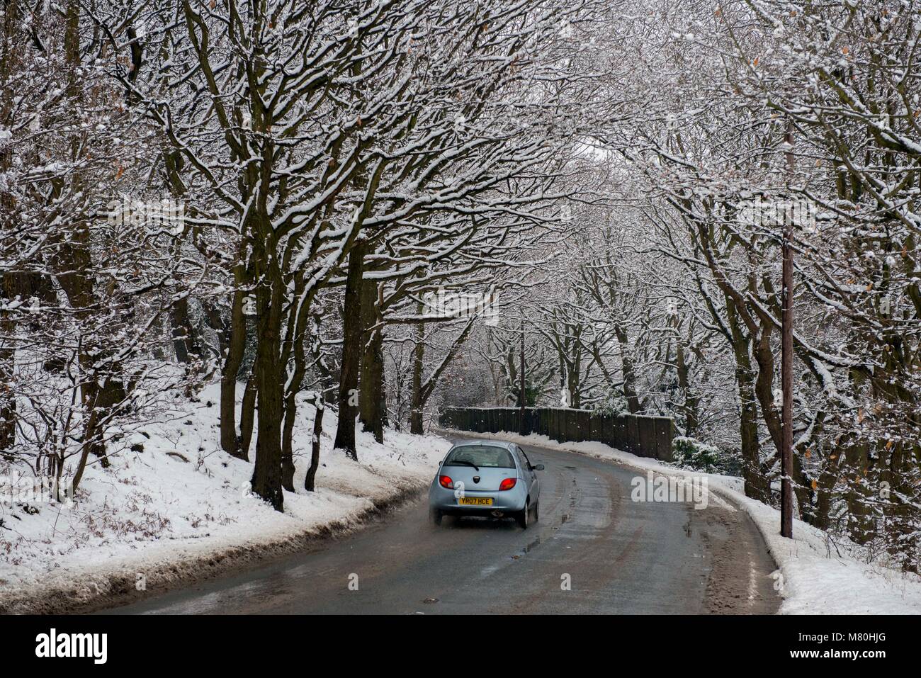 Una vettura viaggia lungo una strada sotto coperta di neve alberi a Wakefield, West Yorkshire, Regno Unito. Foto Stock