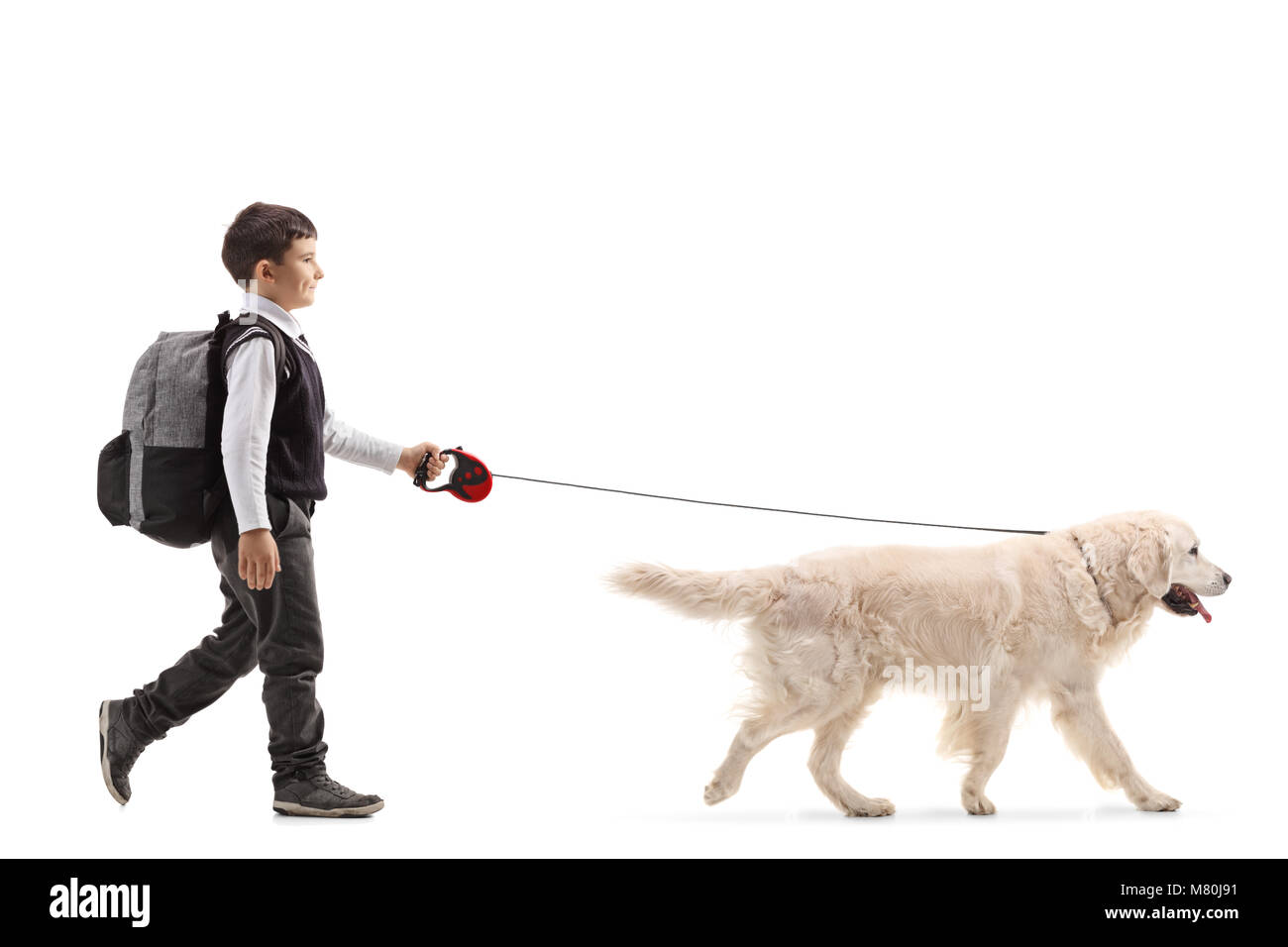 Completa il profilo di lunghezza shot di uno scolaro a piedi un cane isolato su sfondo bianco Foto Stock