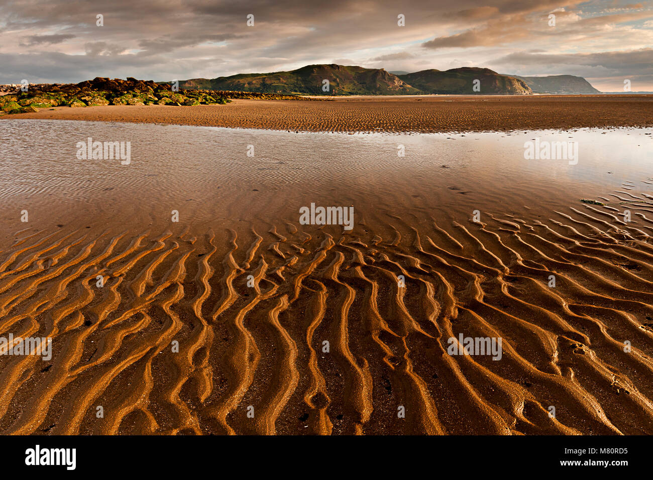 Increspature nella sabbia a Llandudno West Shore beach, costa del Galles Settentrionale Foto Stock