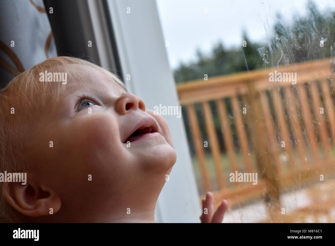 Il bambino guarda attraverso la finestra Foto Stock