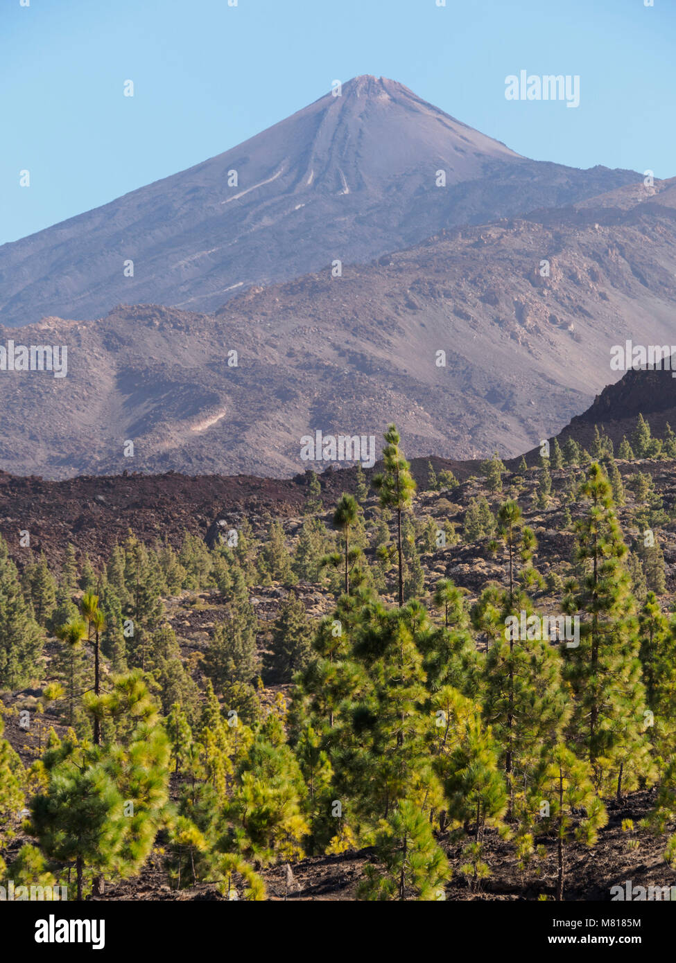 Tenerife, Isole Canarie - le boscose colline di lava round Samara picco con sentieri per il Monte Teide e lava tipica macchia nel deserto Foto Stock