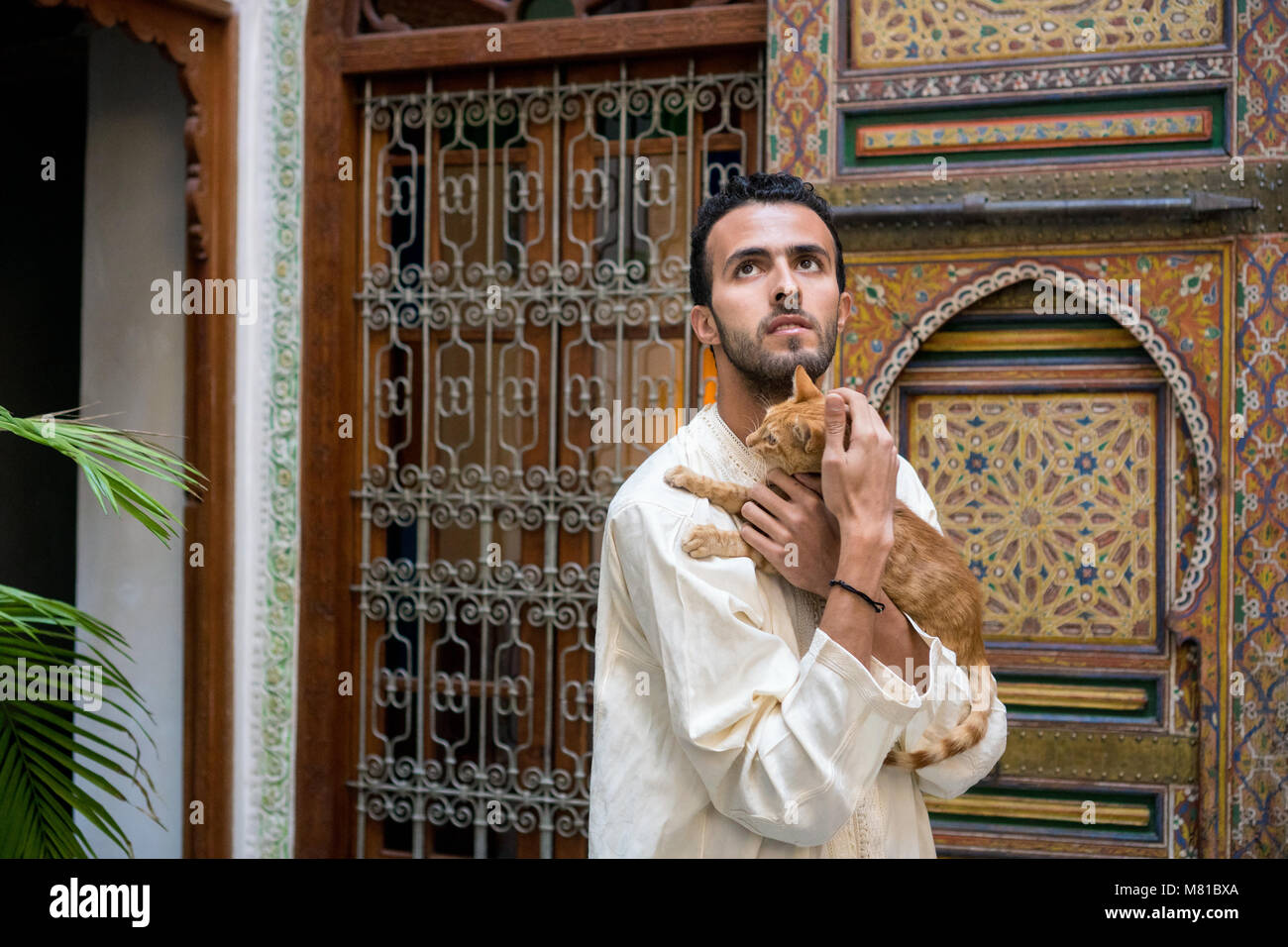 Giovani Musulmani uomo in abbigliamento tradizionale tenendo un gatto giallo in un tradizionale ambiente Marocchino davanti a una parete decorata Foto Stock