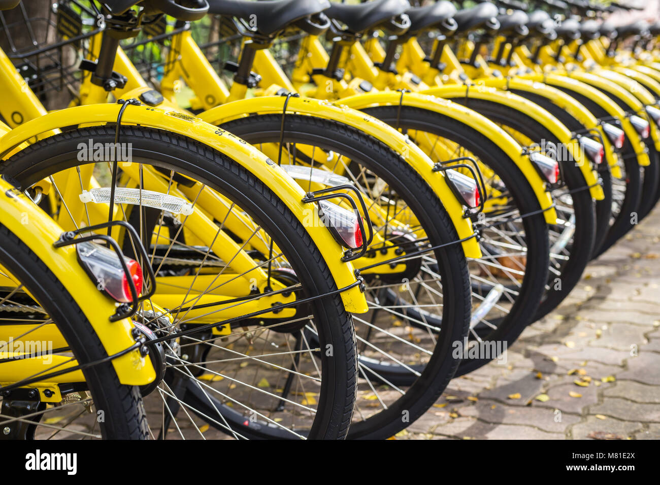 PHUKET, Tailandia - 13 gennaio 2018 : Il giallo biciclette parcheggio nel parco per la smart city project gestito dal governo e supporto da parte di Ofo bicy Foto Stock