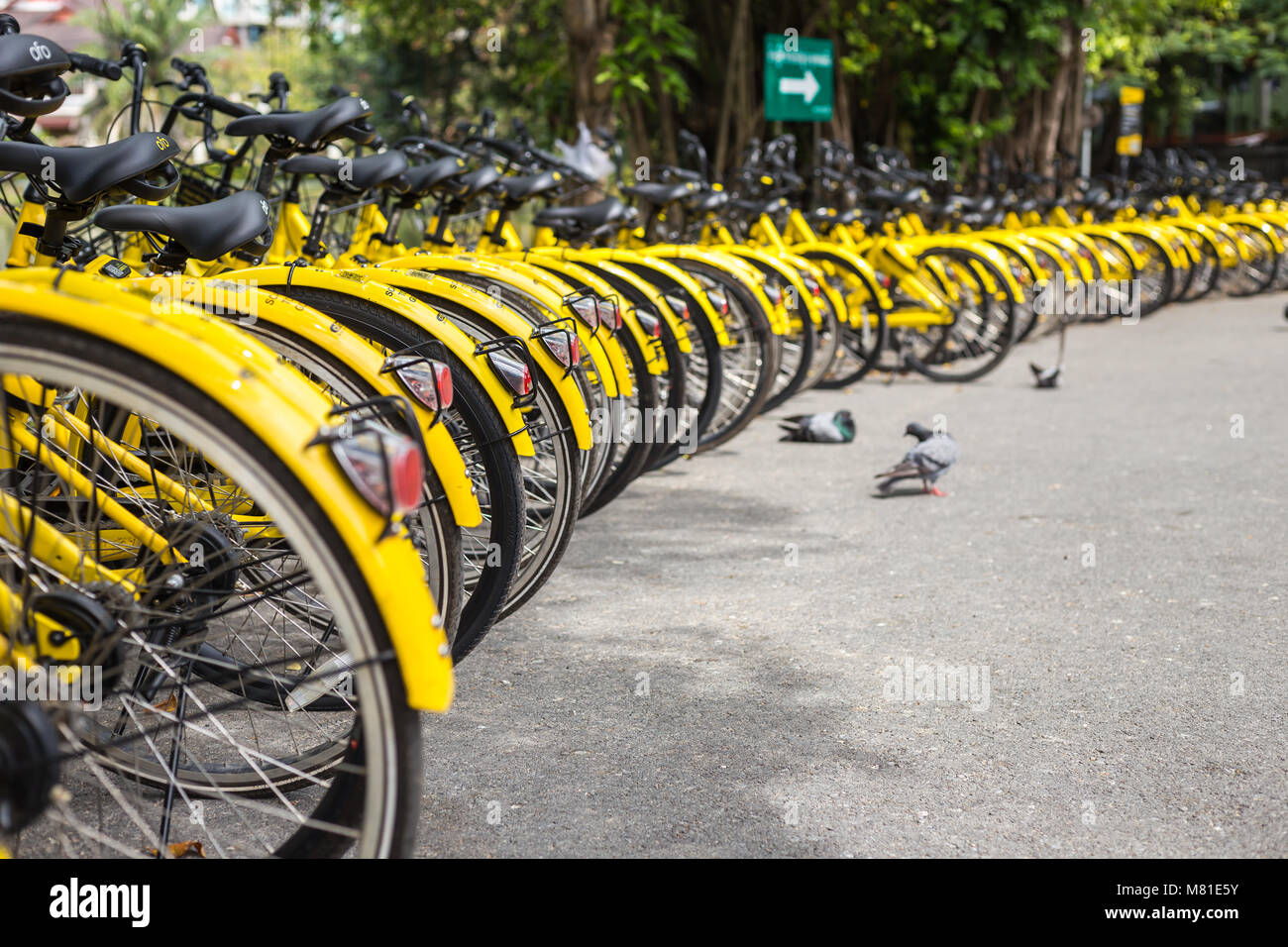 PHUKET, Tailandia - 13 gennaio 2018 : Il giallo biciclette parcheggio nel parco per la smart city project gestito dal governo e supporto da parte di Ofo bicy Foto Stock