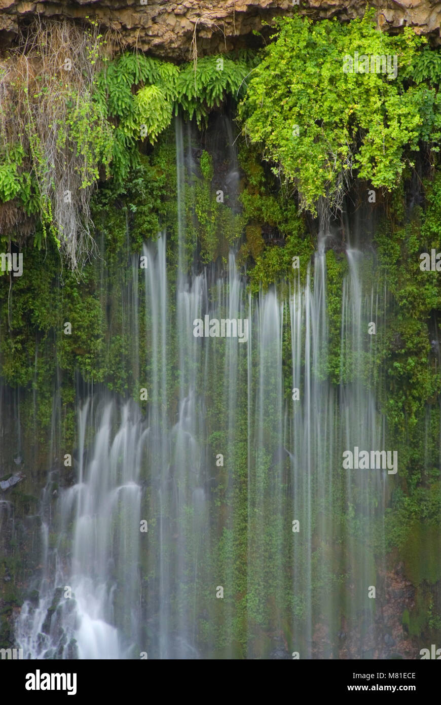 Burney Falls, McArthur-Burney Falls State Park, California Foto Stock