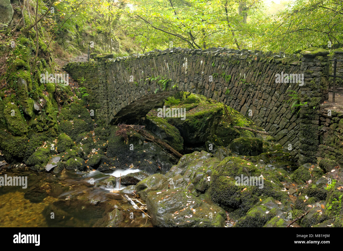 Un stonebridge su Aira Force cascata, Ullswater, Parco Nazionale del Distretto dei Laghi, Inghilterra Foto Stock