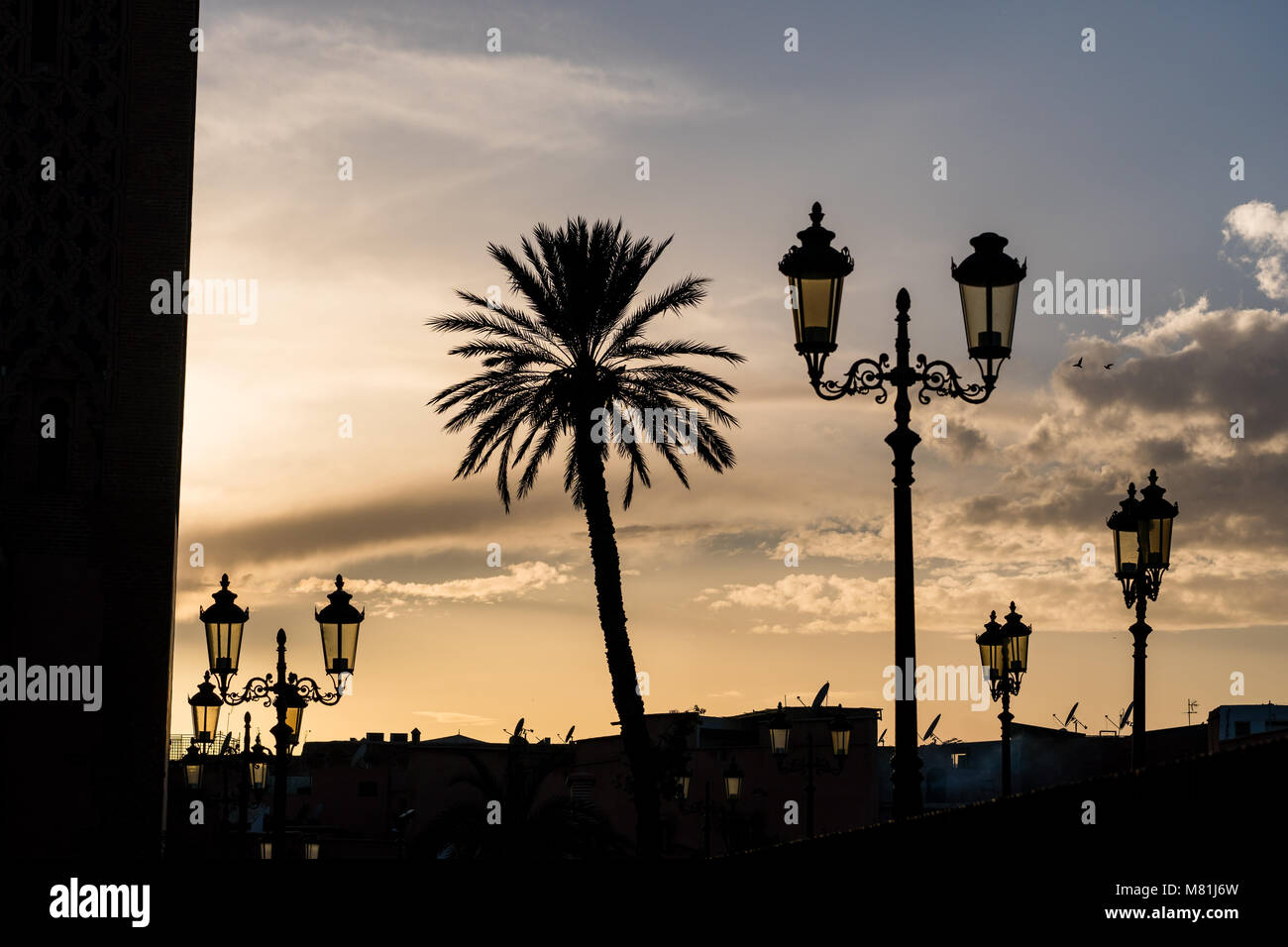 Silhouette di palme e candelabri street lights durante il tramonto Foto Stock