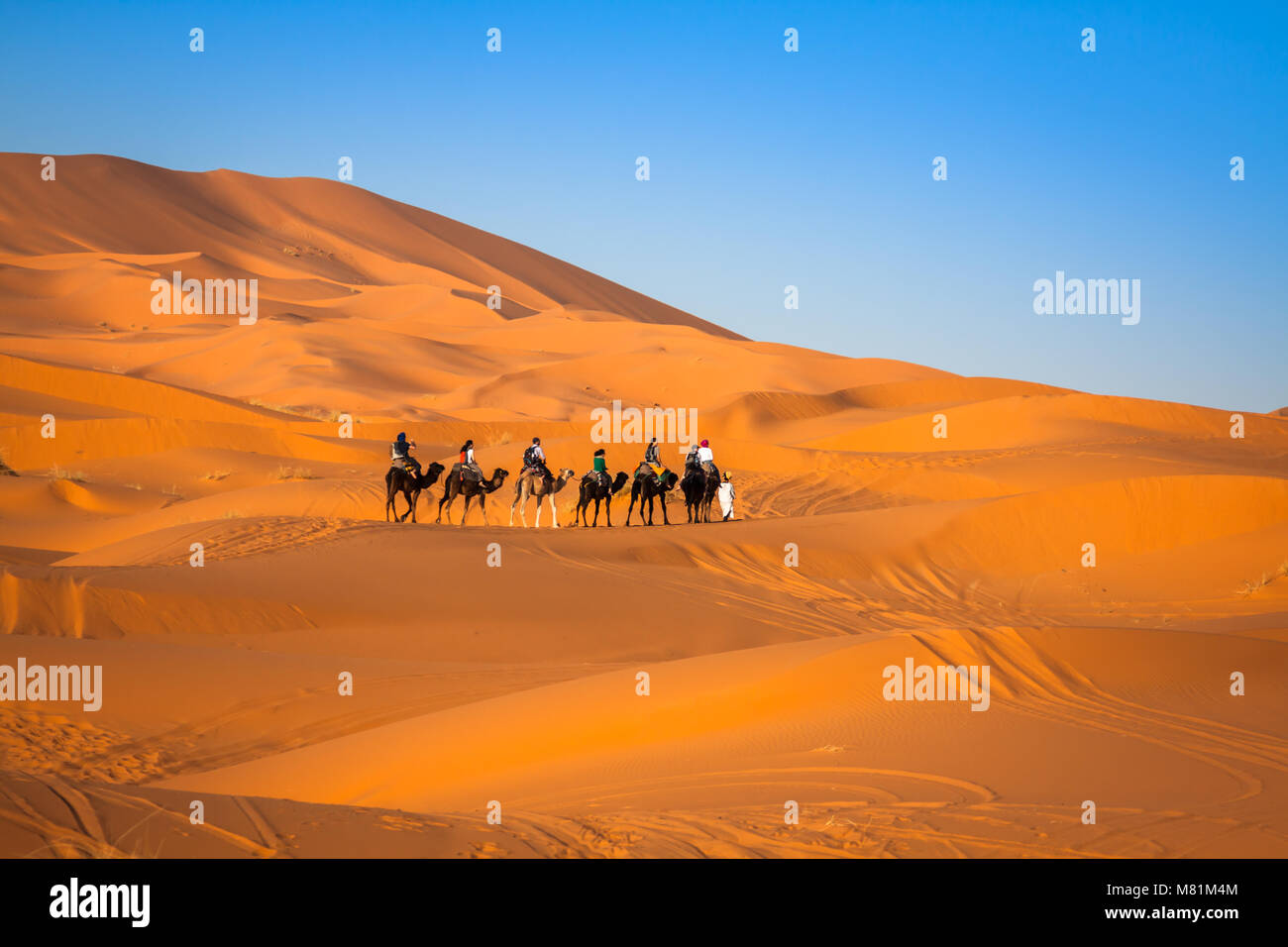 Camel caravan andando attraverso le dune di sabbia nel deserto del Sahara, Merzouga, Marocco Foto Stock