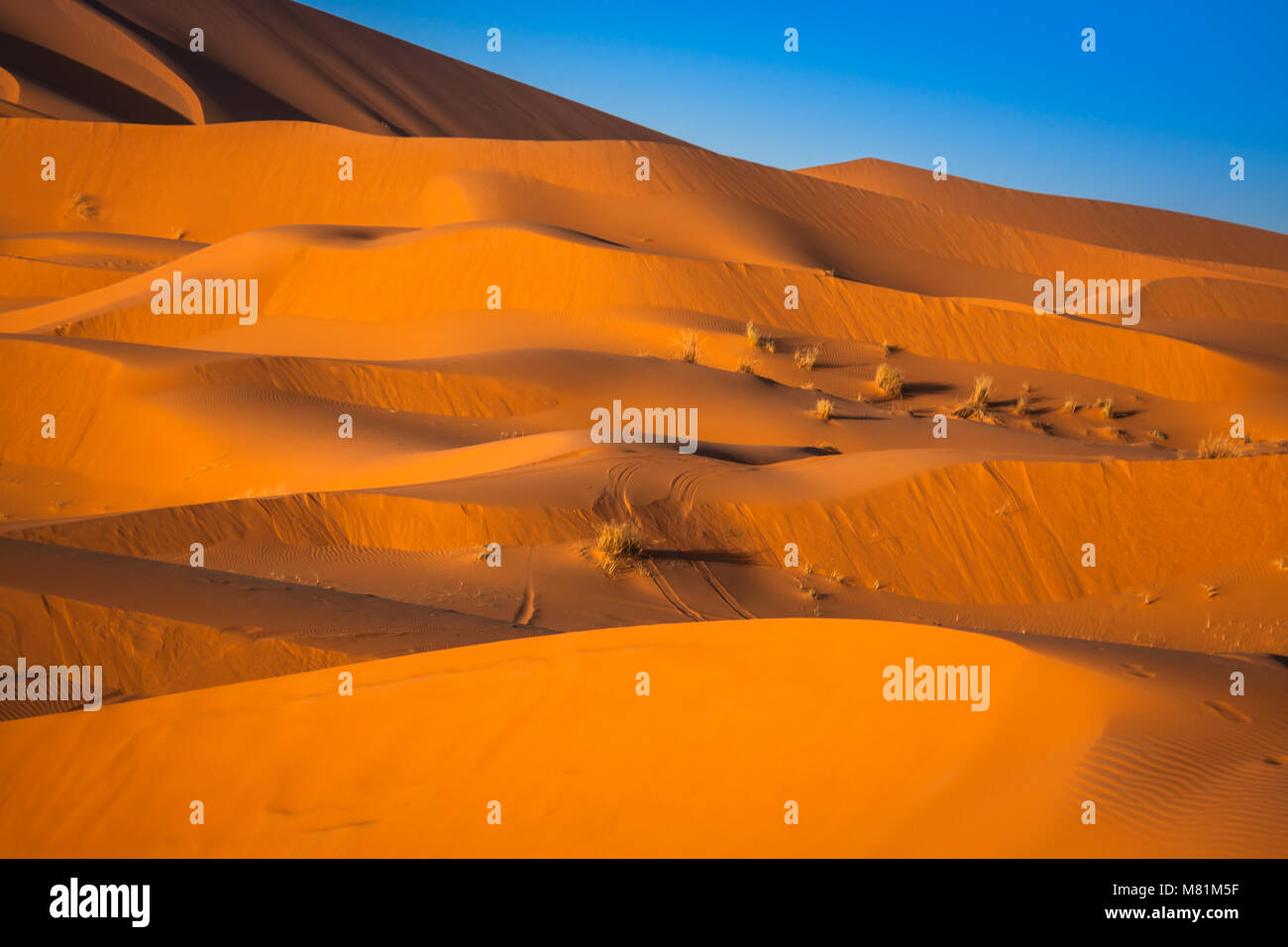 Le dune di sabbia del deserto del Sahara, Merzouga, Marocco Foto Stock