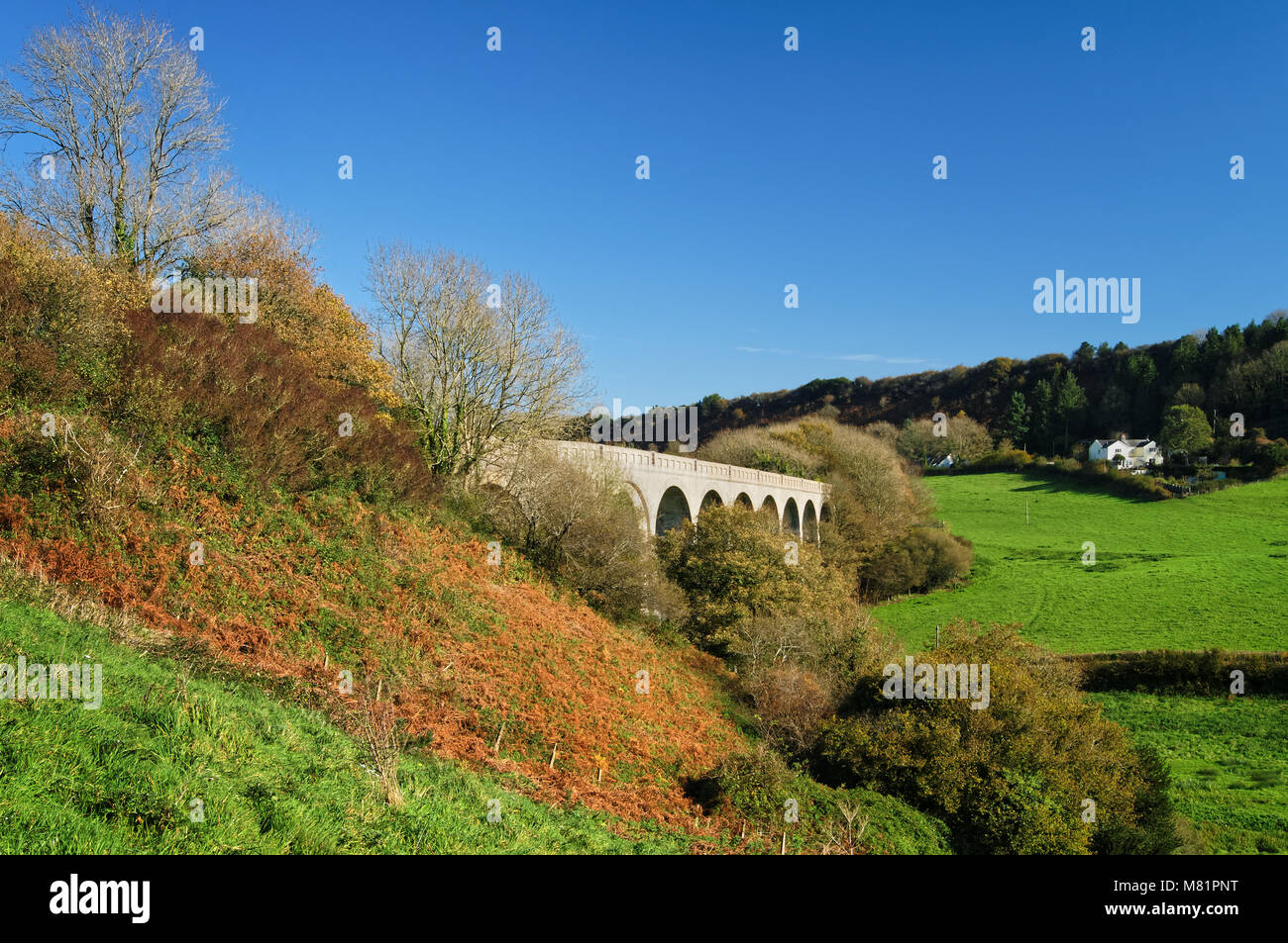 Regno Unito, Devon, Uplyme, Cannington Viaduct e campagna circostante. Foto Stock