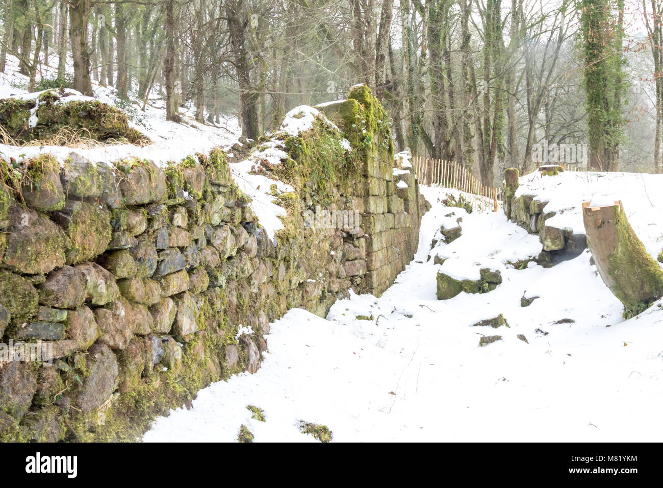 I ruderi di un vecchio mulino in pietra a Dartmoor, Regno Unito. Le rovine sono una copertura di neve dalla Bestia da est tempesta invernale del 2018 Foto Stock