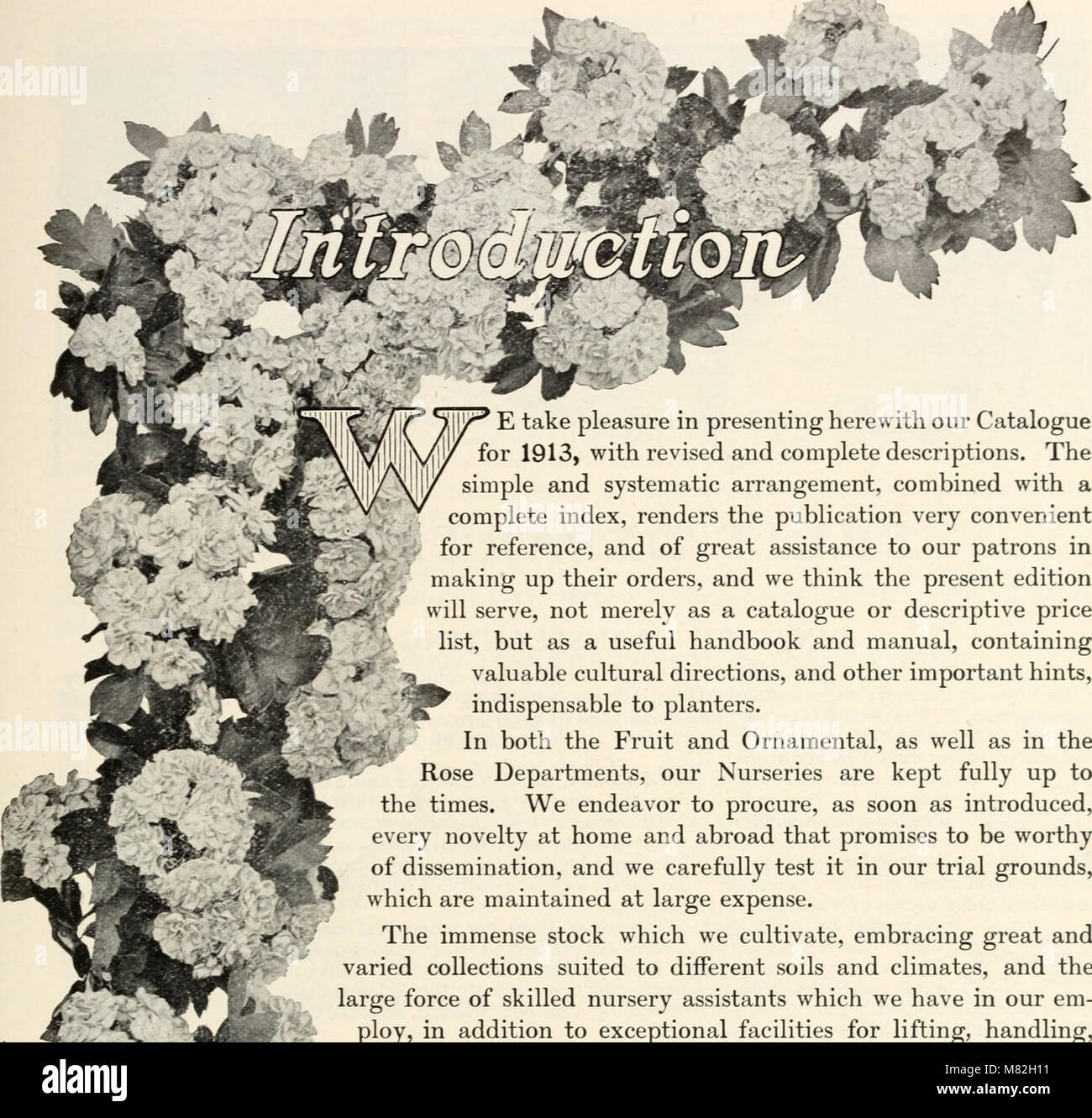 Catalogo di Mount Hope vivai stabilito 1840 (1912) (20395354030) Foto Stock