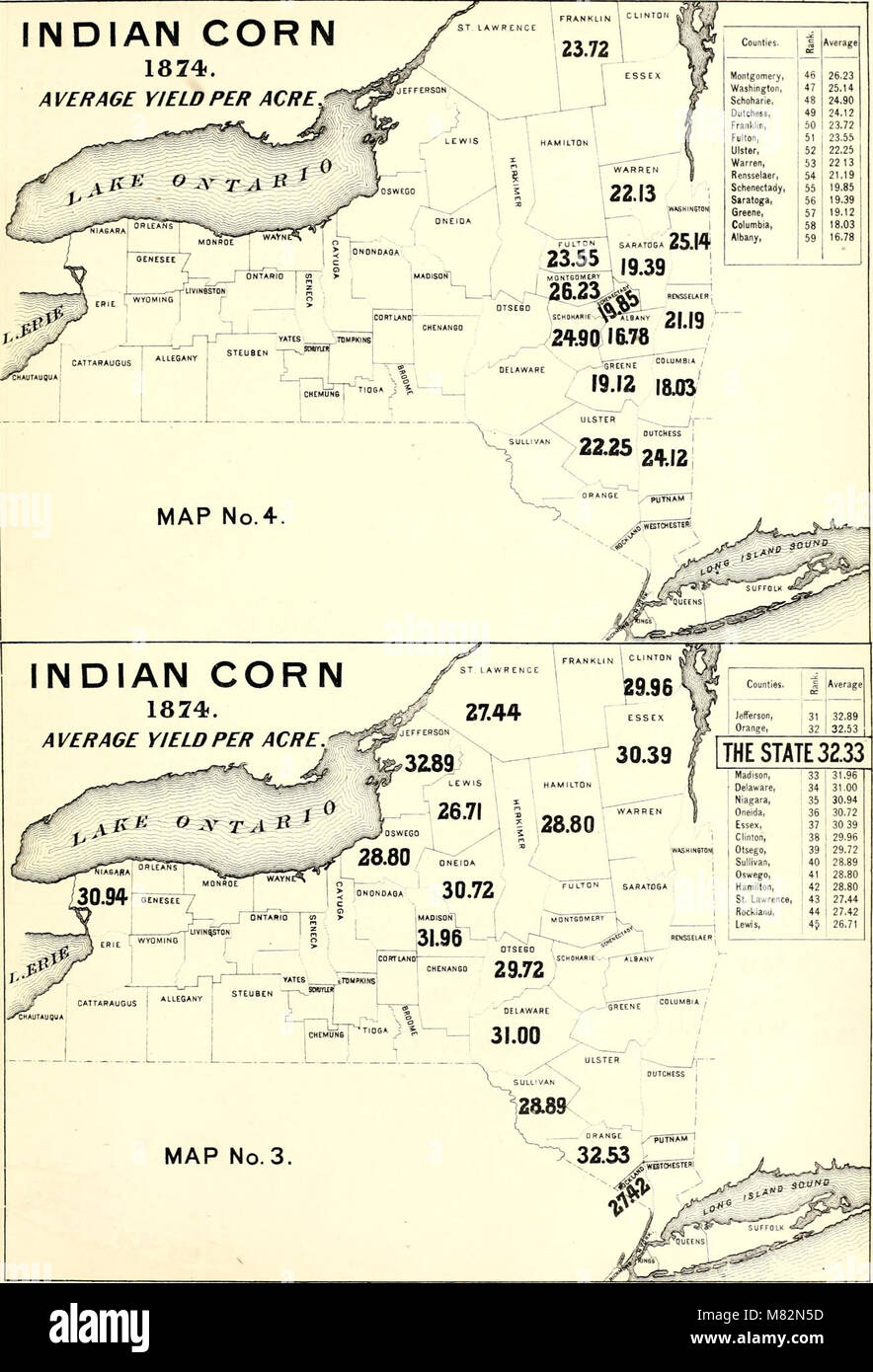 Censimento della popolazione dello stato di New York per 1875 (1875) (14597860037) Foto Stock