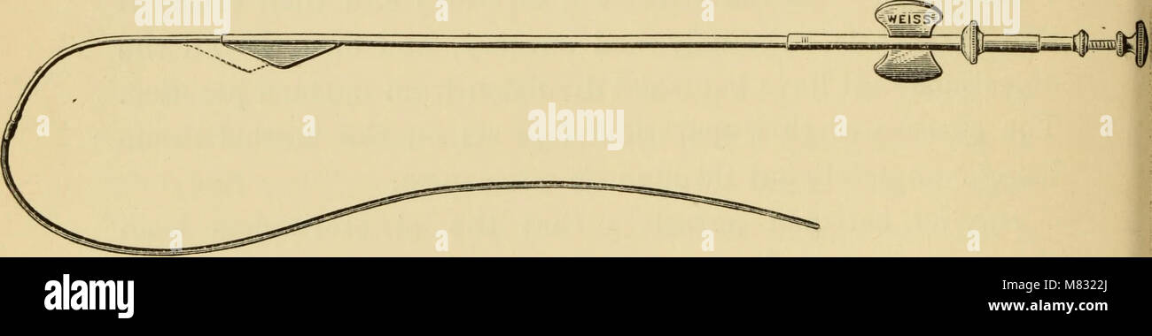 Questo testo clinico del 1901 fornisce lezioni mediche sulla diagnosi e il trattamento della stenosi uretrale e dell'allargamento della prostata, concentrandosi sulle condizioni che influenzano la salute urinaria e riproduttiva maschile. Foto Stock