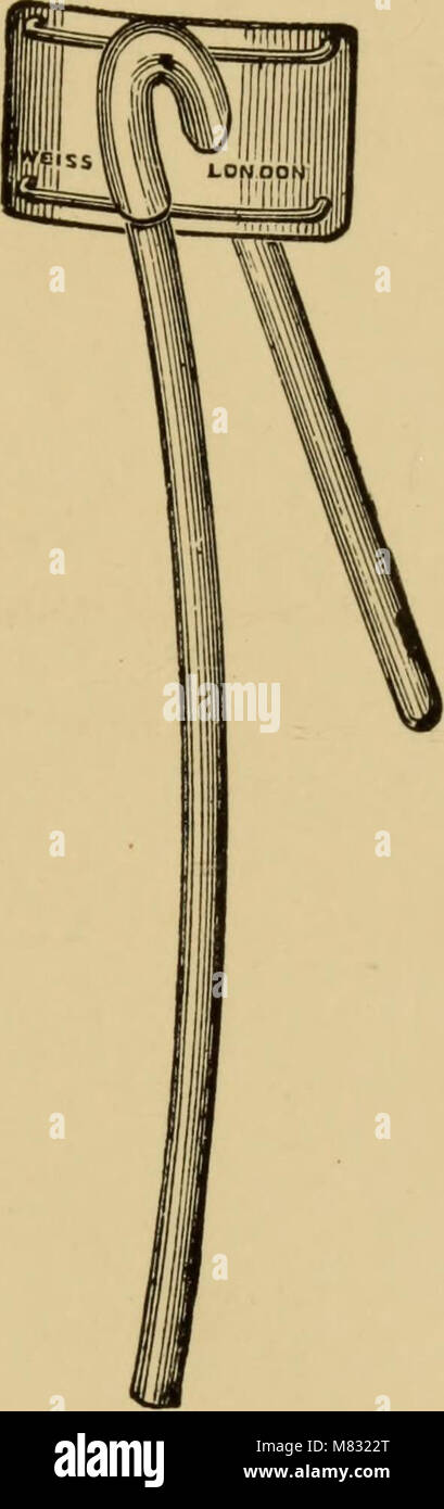 Questo lavoro 1901 offre lezioni cliniche sulle condizioni mediche di stenosi uretrale e allargamento della prostata. Fornisce informazioni sulle tecniche diagnostiche, le opzioni di trattamento e la cura del paziente correlate a questi problemi urologici comuni. Foto Stock