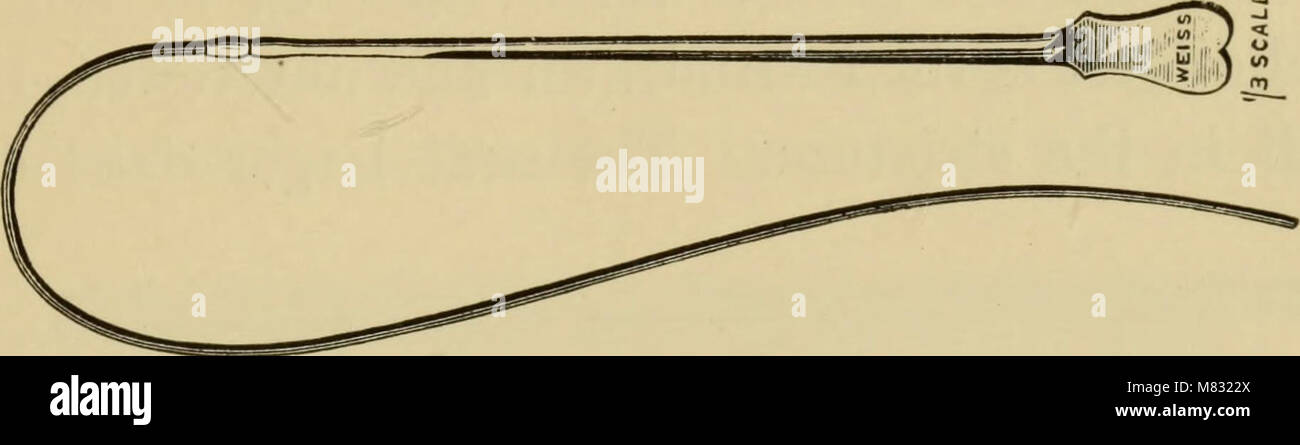 Clinica stenosi dell'uretra e allargamento della prostata (1901) (14784341485) Foto Stock